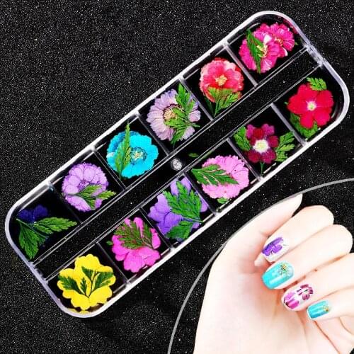 12 Colors Real Natural Petal Dry Dried Flower UV Gel Nail Art Polish Tips Jewelry Decoration DIY Manicure Tools Set