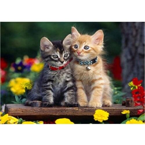 30x40cm Cat DIY Cross Stitch Craft Partial Round Diamond Painting Living Room Wall Decor Mosaic Embroidery Diamond Drawing