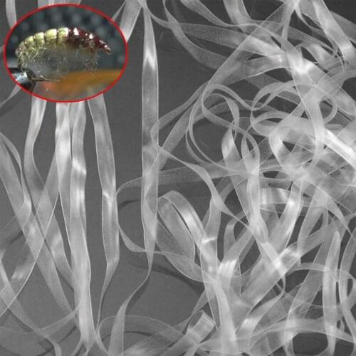 MNFT 5M Multi Color Elastic Nymphal Fly Tying DIY Skin Fly Fishing Nymph Flies Making Material Fishing Bait Lures White Black