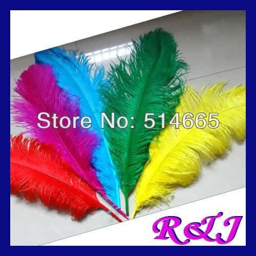 EMS Free shipping Wholesale 50PCS 60-65cm 24-26 inches mix 2 colors natural OSTRICH FEATHER real ostrich feather plumage