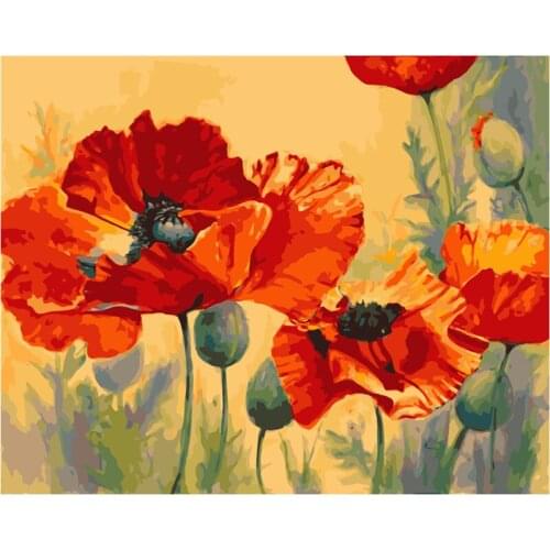 Painting By Numbers DIY Dropshipping Big size Beautiful blooming poppies Flower Canvas Room Decoration Art picture Child Gift