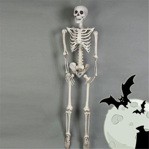 Skeleton Model Wholesale Learn Aid Anatomy art sketch 40CM Halloween Flexible Human Anatomical Anatomy bone