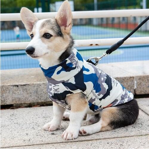 New products Autumn/Winter Corgi Clothing Warm Teddy Small Dog Golden Shiba Inu Medium/Large Dog anti-shedding cotton coat