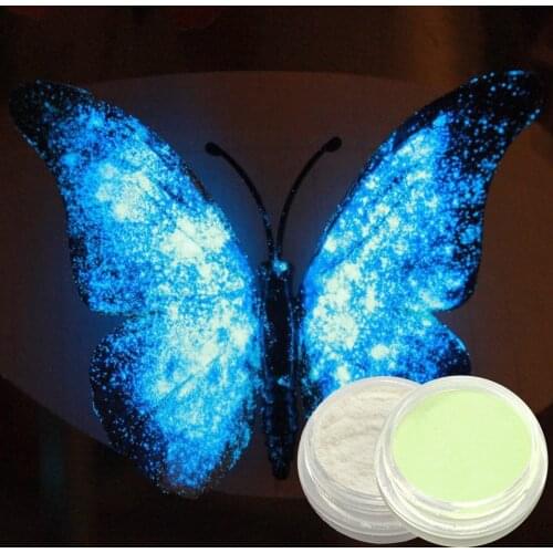 Neon Phosphor Fluorescent Nail Pigment Glitter Powder For Manicure Decoration Nail Art Powder Glow In The Dark 1g