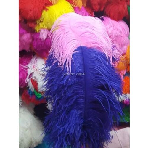 20Pcs/Lot!60-65cm Two Tone High Quality Ostrich Feathers,Pink+Royal Blue Ostrich Craft Feathers for stage and Home decoration