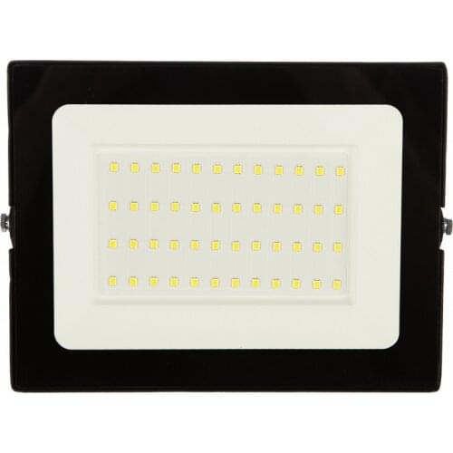 Camelion LED Floodlights