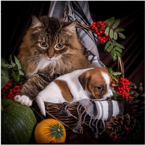 5D DIY Full Square Diamond Painting Painting Cartoon Animals Cats Mosaic Embroidery Cross stitch Embroidery Crafts Decoration