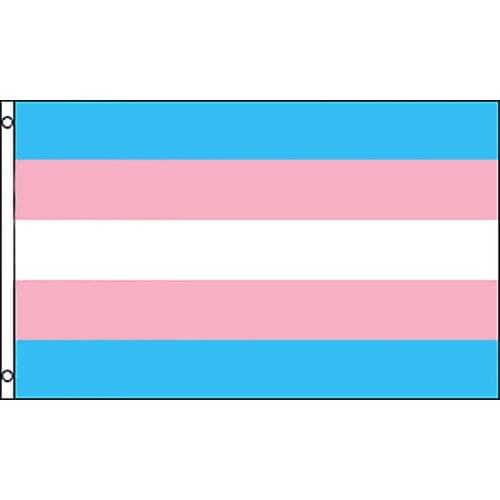 Xvggdg Rainbow Flags And Banners 90x150cm Lesbian Gay Pride LGBT Flag Polyester Colorful new transgender Flag