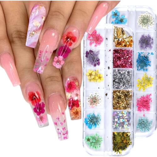 Dried Flower Nail Rhinestones Set Mixed Butterfly Foil Shell Paillette 3D Nail Art Decoration Bead Manicure Accessories LA1616-1