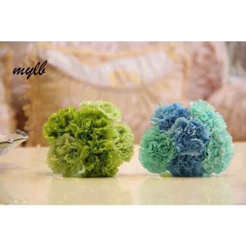 Mylb Artificial Carnations
