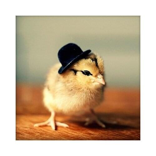 LIPHISFUN Full Drill Diamond Painting Mosaic Handmade Cross Stitch Resin Embroidery Square/round Chicken