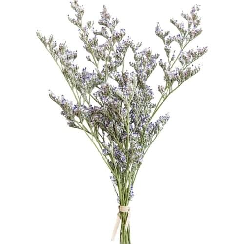 45-50CM Dried Lover Grass Flower Bouquet for Wedding Decor DIY Craft Flower Bouquet Ornament