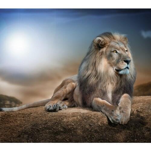 14/16/18/27/28 The lion Animal Art Needlework,Bricolage DMC 14CT Counted Cross stitch kits For Embroidery Canvas Patterns