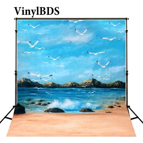 VinylBDS 10x10ft Beach Backdrop Sky Cloud Backdrops Newborn Photography Background Scenic Backdrops for Photo Studio