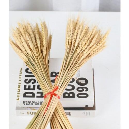 Natural Wheat Ears Real Raw Color Dried Flowers Bouquet Mariage Room Wedding Party Decoration Flores Artificiales Accessories