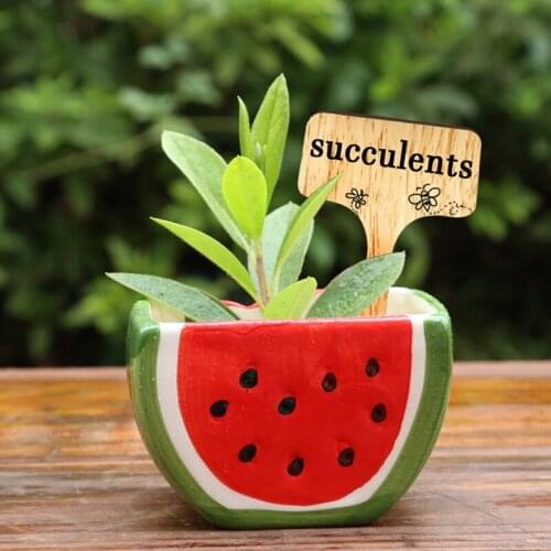 100PCS Wooden Plant Tags T-Shape Bamboo Plant Labels Nursery Pots Seeding Wood Sign Tags Garden Flowers Markers Tool Accessories