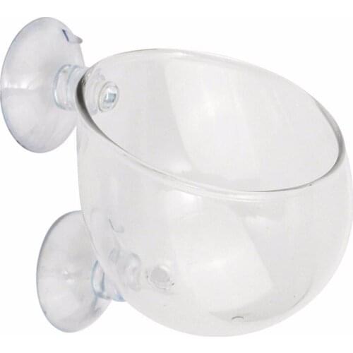 Hot sale Aquarium Seeds Water Grass Pots Easy Aquatic Live Plant Fish Tank Decoration Landscape Ornament