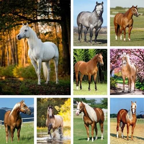 5D horse diamond painting art mosaic diamond embroidery animal DIY picture rhinestone cross stitch artist home wall decoration