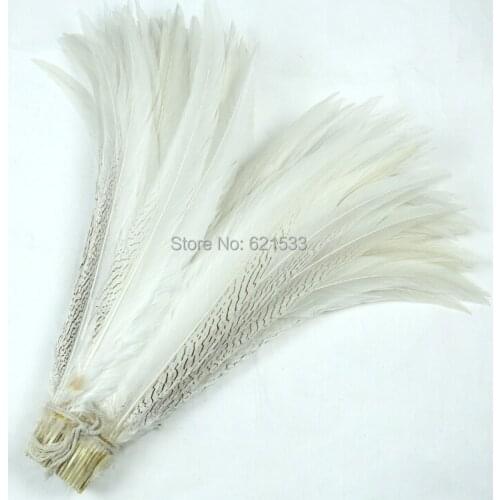 10Pieces/lot-60-65CM Long SILVER PHEASANT Natural Tail Feathers,Silver Pheasant Tails,Loose Long feathers