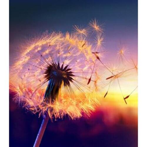 5D DIY Square/Round Diamond Landscape Painting Dandelion Beauty Picture Cross Stitch Embroidery Home Decoration Artwork WG3019