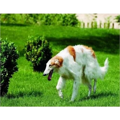 5D DIY Diamond Embroidery Russian Poso Wolfhound dog Diamond Painting,Cross Stitch,animal,3D,Diamond Mosaic,Christmas gift