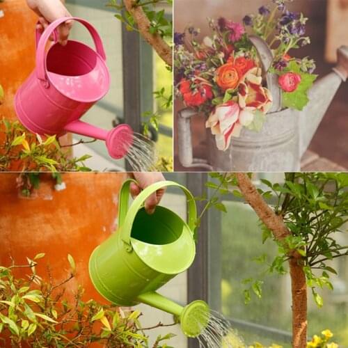 Watering Can Iron Plant Shower Garden Water Pot Sprinkled 15L Irrigation Supplies Spray Bottle Watering Kettle Gardening Tools