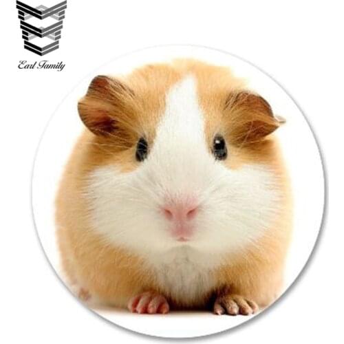 EARLFAMILY 13cm x 13cm Cute Guinea Pig Vinyl Sticker Laptop Travel Luggage Decal Car Sticker Waterproof Car Accessories