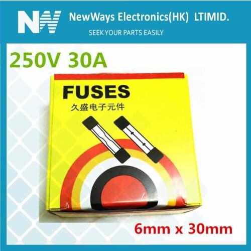 100PCS/Lot Glass fuse 6*30mm 30A 250V High quality Fuse