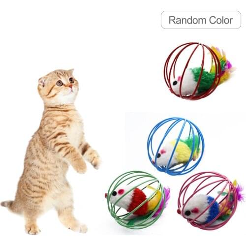 Toys For Cats Ball With Feather Playing Chew Rattle Scratch Plastic Ball Interactive Cat Training Toys Pet Cat Ball Supply