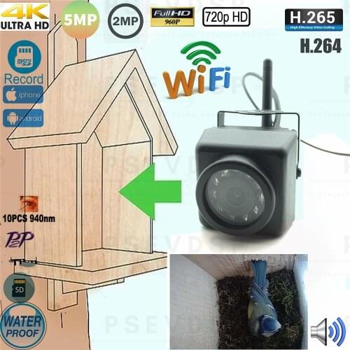 Camhi Mini Wifi IR Camera Motion Detection 940NM Night Vision Outdoor Cctv Onvif P2p Wireless Cam In BirdS Nest And Cage House