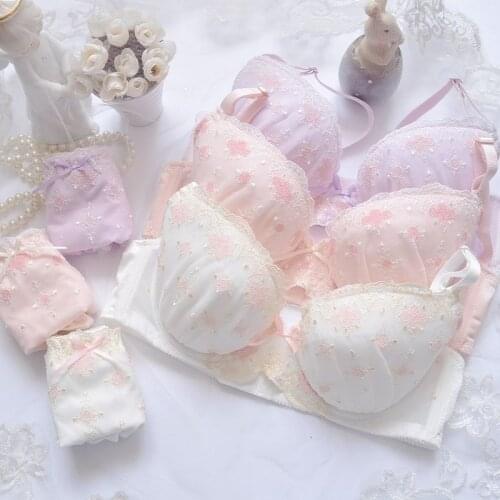Push Up Bra and Panty Set Plus Size Women Bra Set Lace Lingerie Underwear Brief Japanese Embroidery Underwire Intimates 2020 New