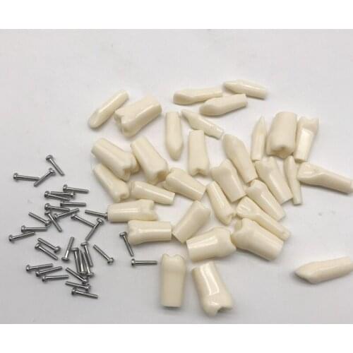 M8022 Replacement Teeth 32 teeth and M8024 teeth 28