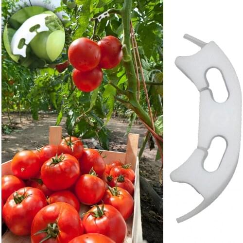 50/100Pcs Fixing Clip Plant Tomato Vine Growth Plant Supports Easy to Operate Anti-bending Fixing Clip Clamp Garden Supply