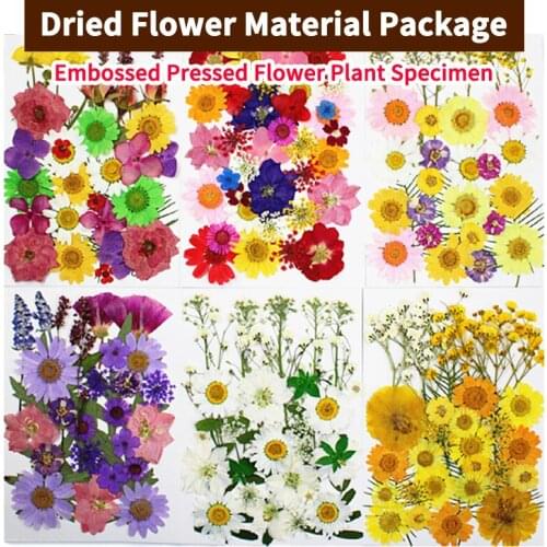 1 Pack Dried Flowers Natural Flower Stickers For DIY Embossed Painting Material Real Flower Epoxy Dry Leaves Filling Decoration