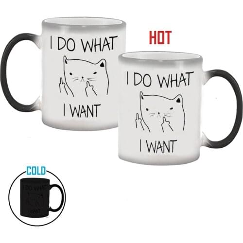 I DO WHAT,I WANT Heat Sensitive Hot Cold Color Changing Cup 350ml Coffee Tea Milk Mug Novelty Gifts