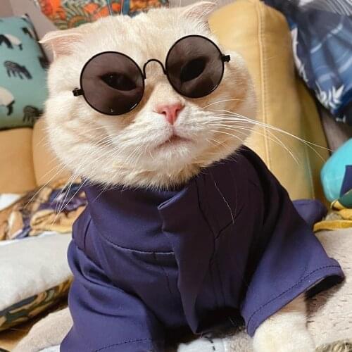 Pet Clothes Anime Jujutsu Kaisen Gojo Satoru Cosplay Cute Cat Suit Jumpsuit Hat Costume Headgear Eye Mask Halloween Xmas Gifts