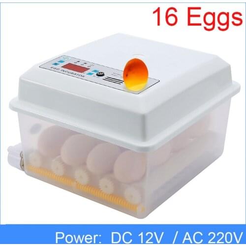 220V Eggs Incubator Brooder Bird Quail Incubator Chick Hatchery Incubator Poultry Hatcher Turner Automatic Farm Incubation Tools
