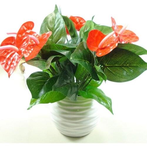 Anthurium, Green Potted Anthurium Flowers Indoor Green Plants Balcony Office Desktop Artificial Flowers Bonsai