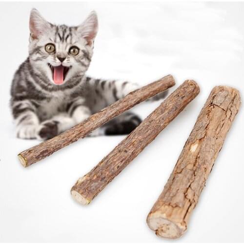Legendog Natural Silvervine Stick Teeth Cleaning Catnip Stick Cat Safety Chew Toy for Cats Cat Snacks Sticks Pet Supplies