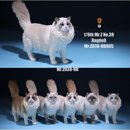 Mr.Z 038 1/6 Scale Ragdoll pet cat simulation animal model toy cute super cute ornaments For 12" Action Figure Scene display