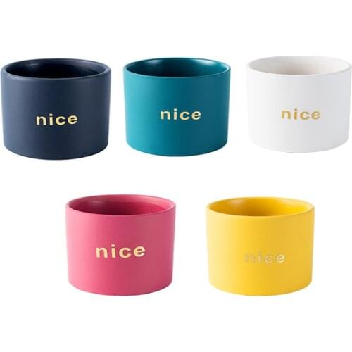 1 Pcs Succulent Iron Flower Pots Retro Nordic Minimalist Desktop Balcony Creative Iron Ceramic Flower Pots