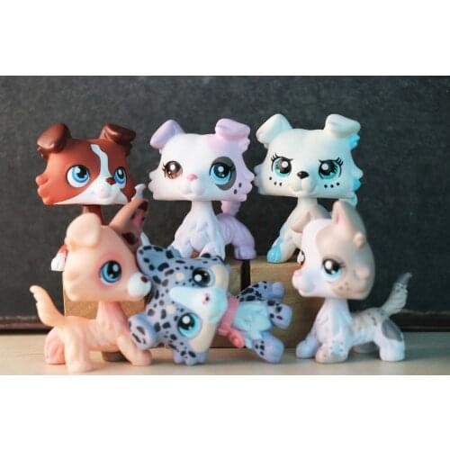 6PCS Custom DOT Collie Dog Puppy With Accessories Girls Boys Children Gift