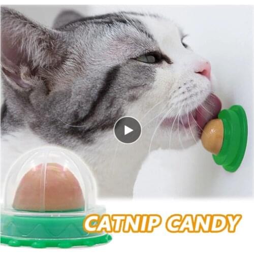 Nutrition Cat Catnip Ball Dust Cover Round Safe Catnip Snack Lick Candy Vitamin Pudding Catnip Lollipop For Cat Kitten Ragdoll