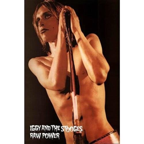 IGGY POP & THE STOOGES - RAW POWER SILK POSTER Decorative Wall painting 24x36inch