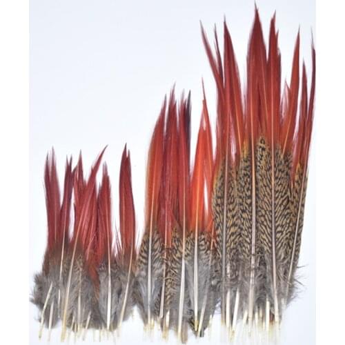 Rare Pheasant Feathers 5~25cm/2-10" Natural Hair Feathers for Clothes Craft Feather Plume Decoration Plumas Carnaval Feather Top