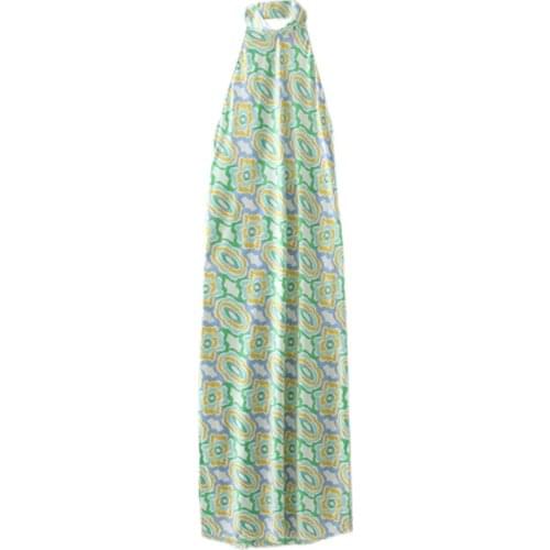 European And American Style Floral Sexy Backless Halter Dress Women Small Sleeveless Beach Skirt Long Skirt Womens Clothing