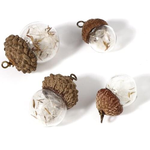 1 PC Cute Glass Pine Cones Charms Pendant For Necklace Making Real Dried Flower Dandelion Jewelry Bracelet DIY Findings Supplies