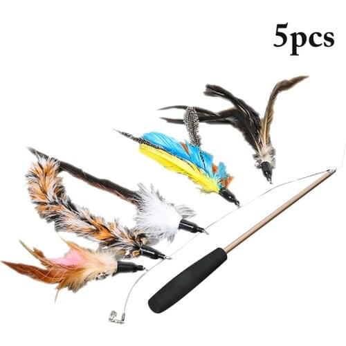 Cat Toy Interactive Cat Teaser Set Retractable Fishing Pole Wand Toy And 5 Replacement Feather Toy for Cats kitten
