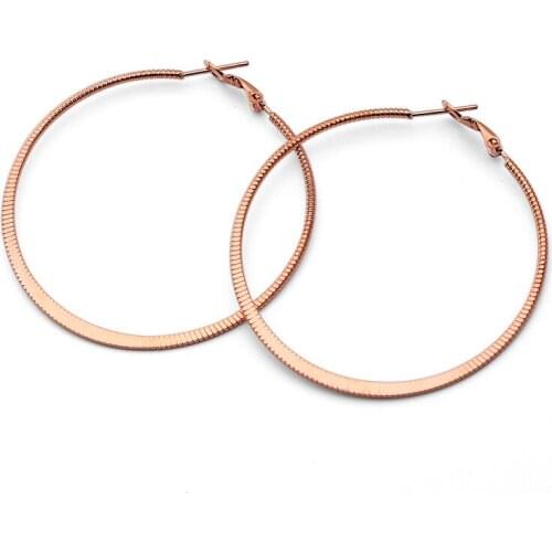 4 Colour Stainless Steel Earrings For Women Titanium Steel Earrings Fashion Jewelry Multi Size Circle Hoop Dangle Earrings gift