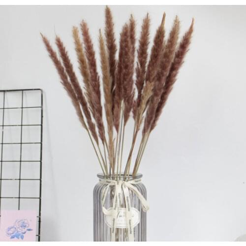 15PCS/lot Gradient Natural Dried Reed Grass Flowers Bouquet Wedding Home Easter Decorations Rabbit Tail Grass Real Flowers